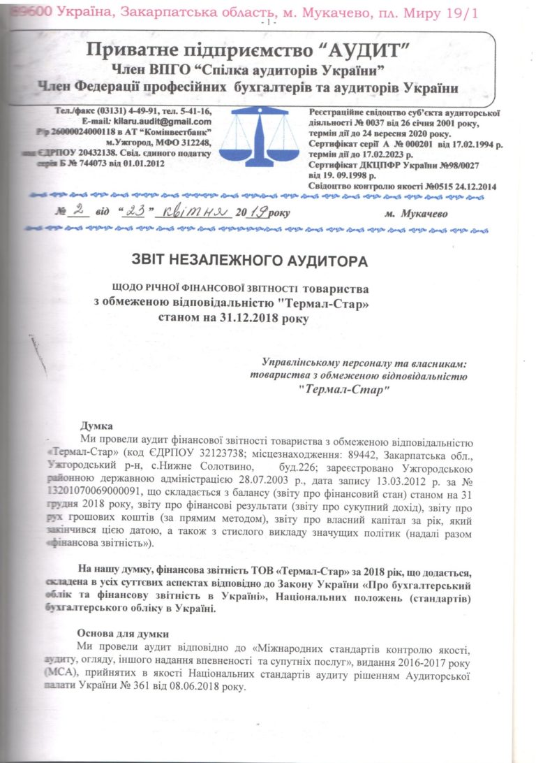 Фінансова звітність 2018 Термал Стар