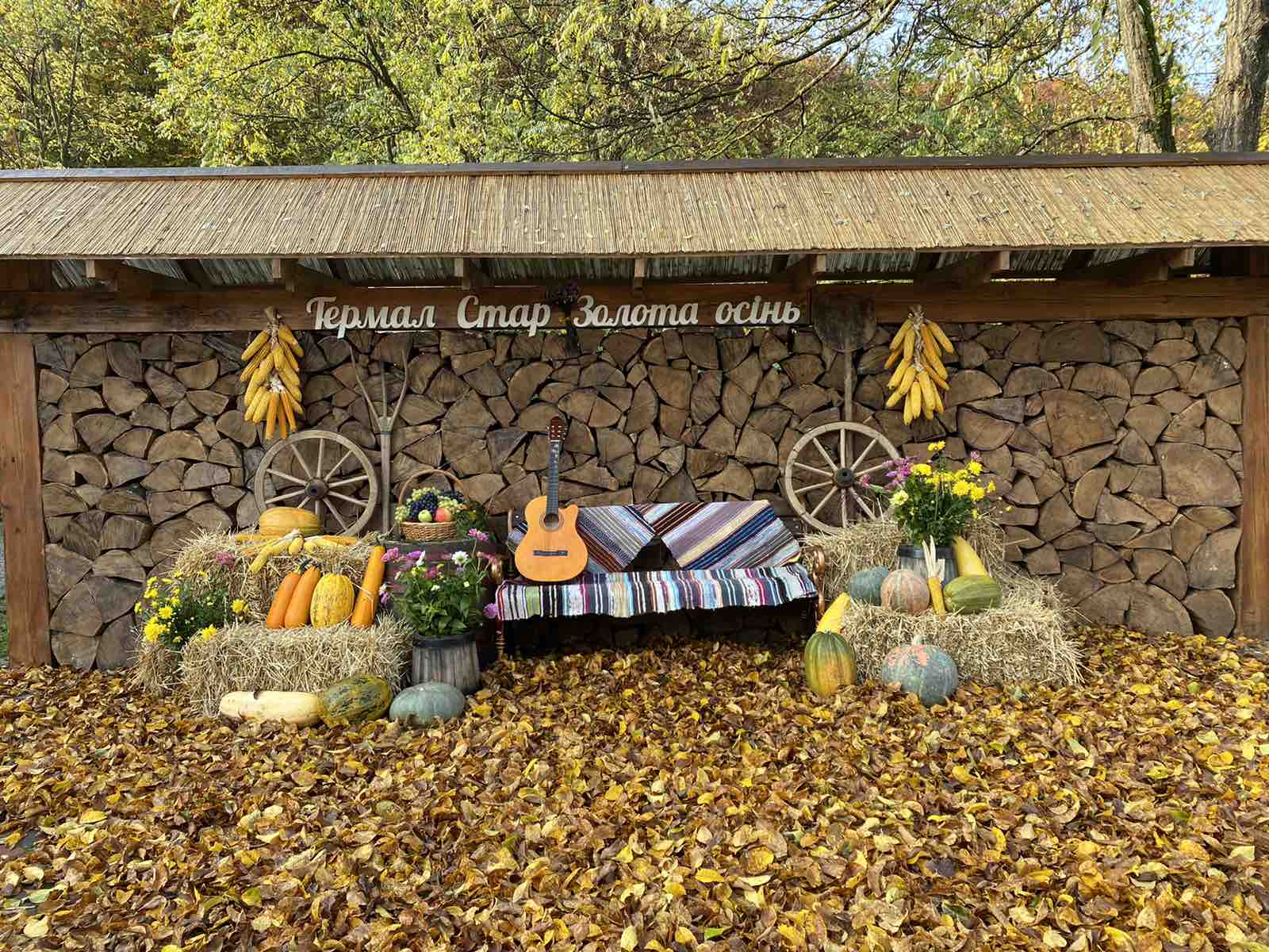 Тематичний вечір - "Осінь в Термал-Стар" (29 жовтня 2020р)