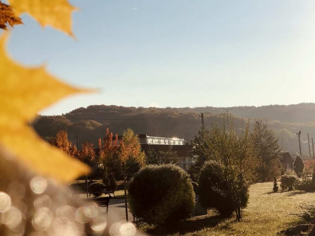 Головна Термал Стар