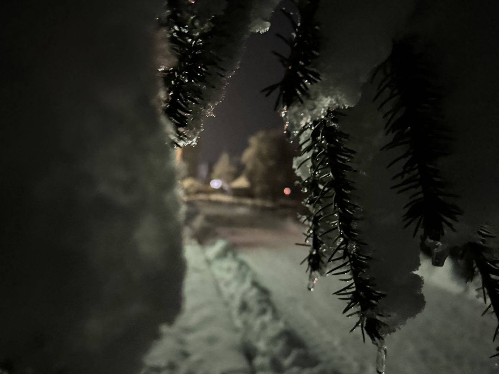 Головна Термал Стар