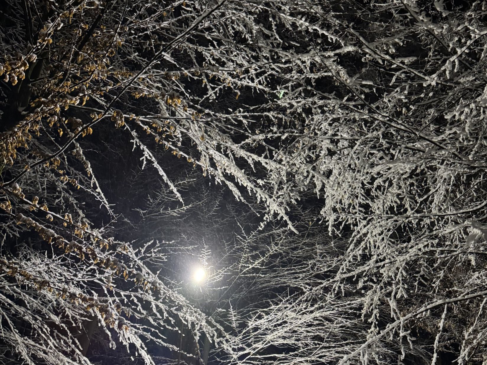 Головна Термал Стар