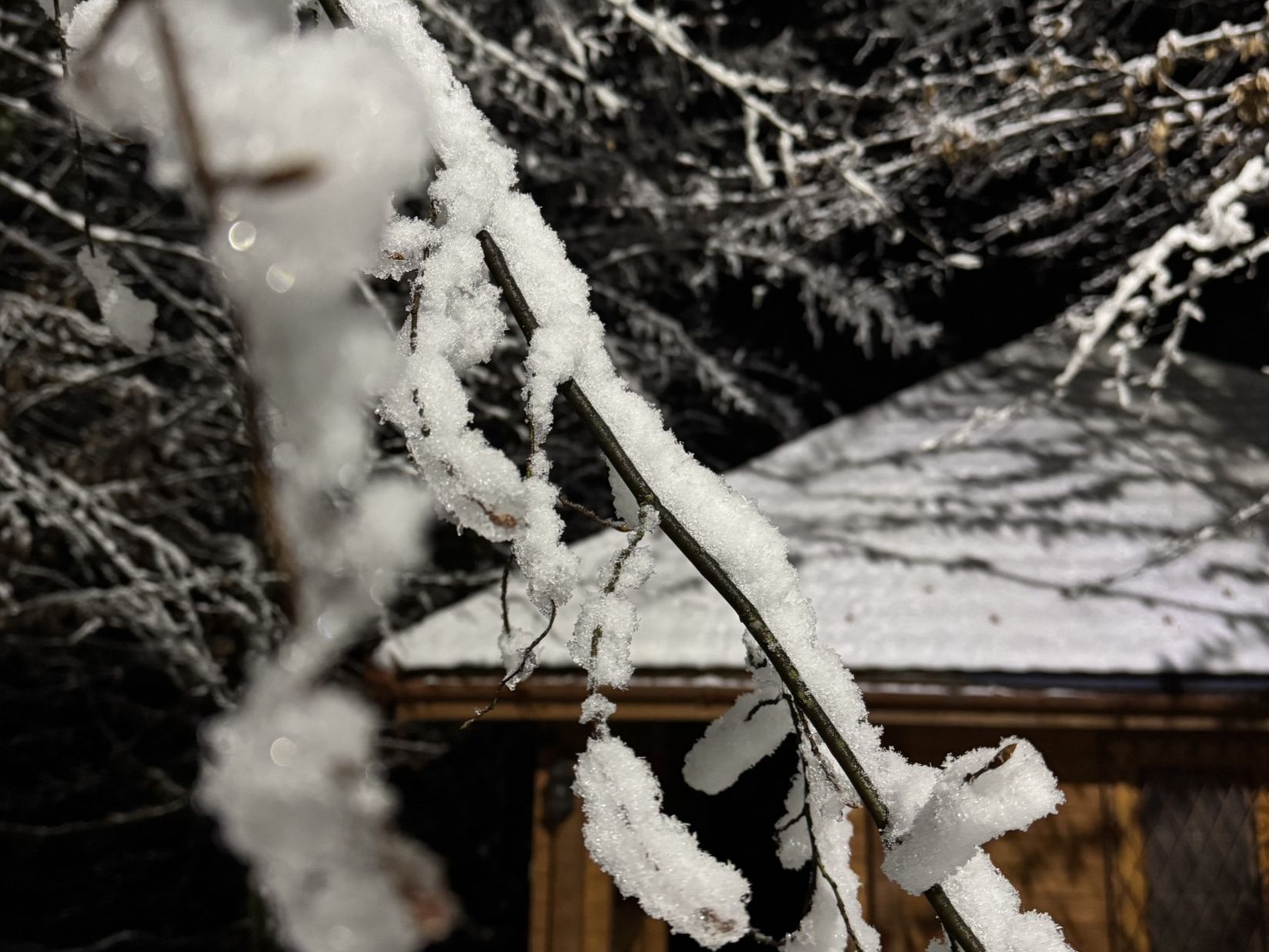 Головна Термал Стар