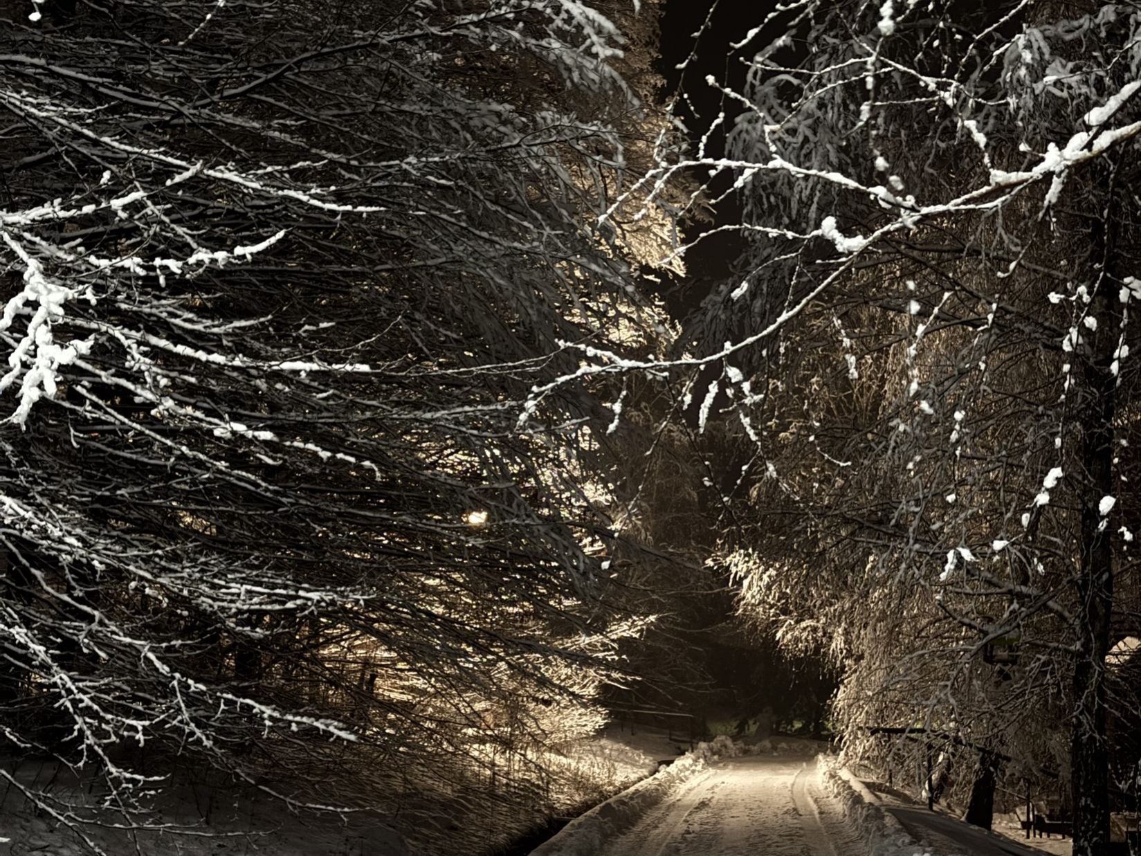 Головна Термал Стар