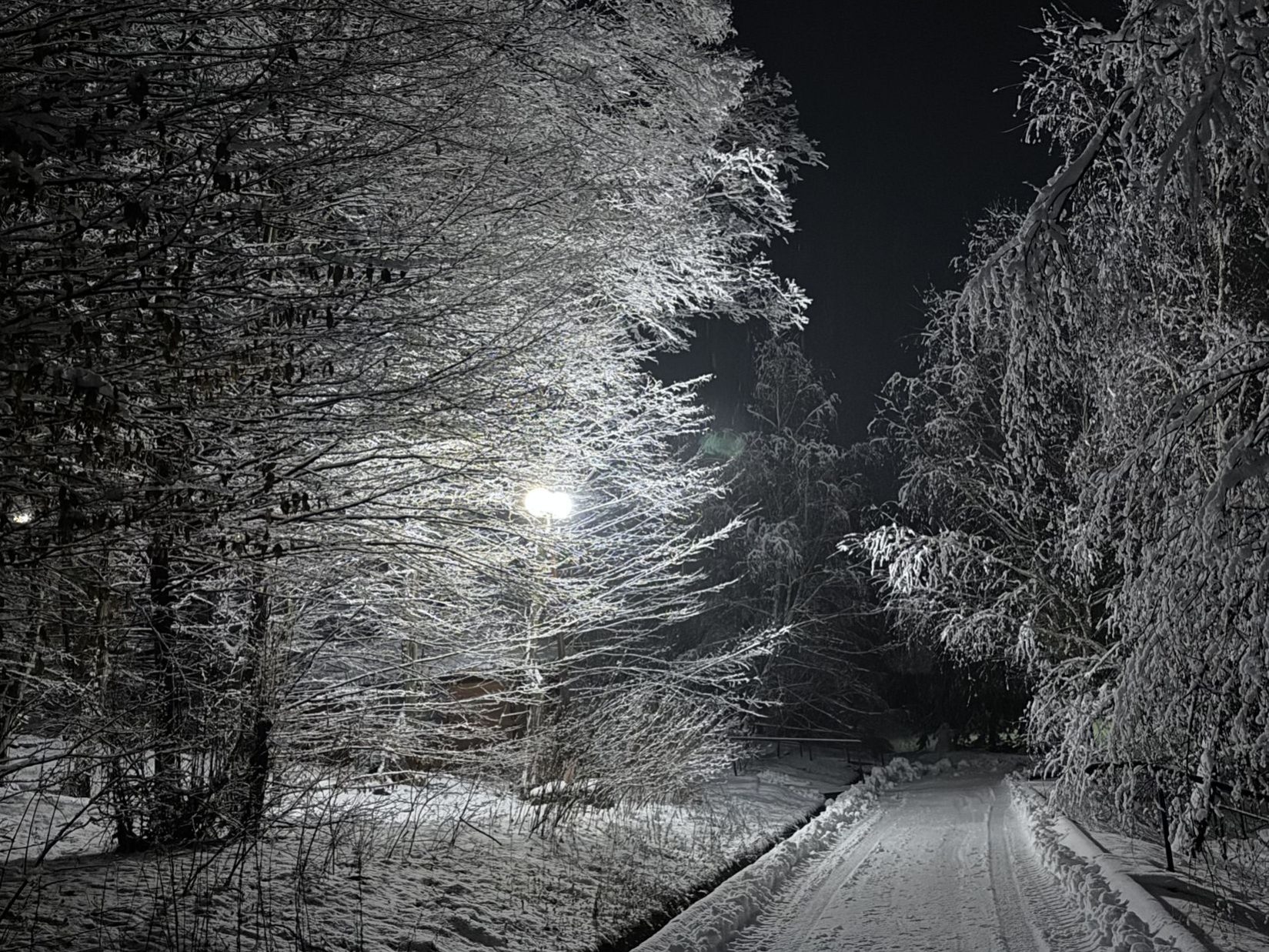 Головна Термал Стар